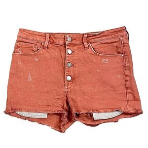 Treasure & Bond Distressed Cutoff Rust Shorts 31